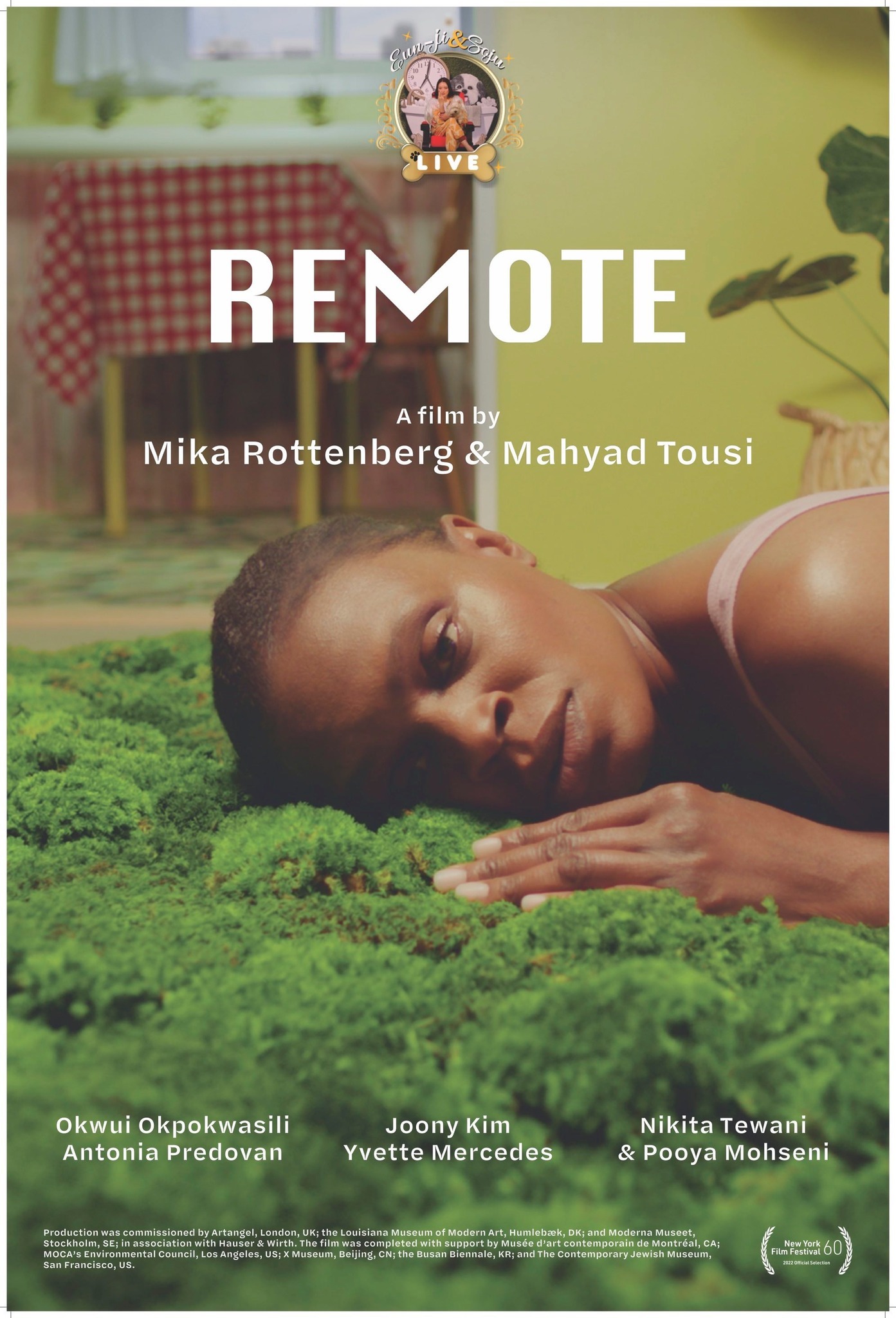 REMOTE BY MIKA ROTTENBERG MAHYAD TOUSI CURRENTS SELECTION NEW YORK FILM FESTIVAL DAMIAN